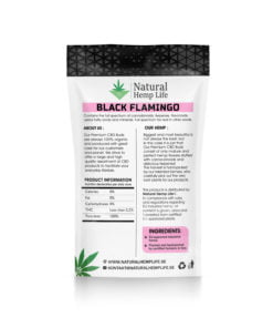 Black Flamingo Back