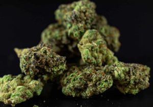 THCA i Sverige 2025