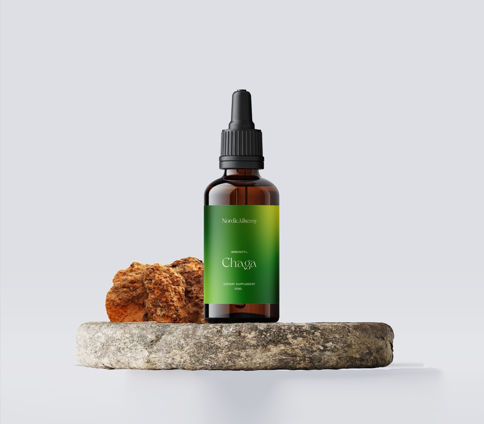 Chaga Tinktur och svamp