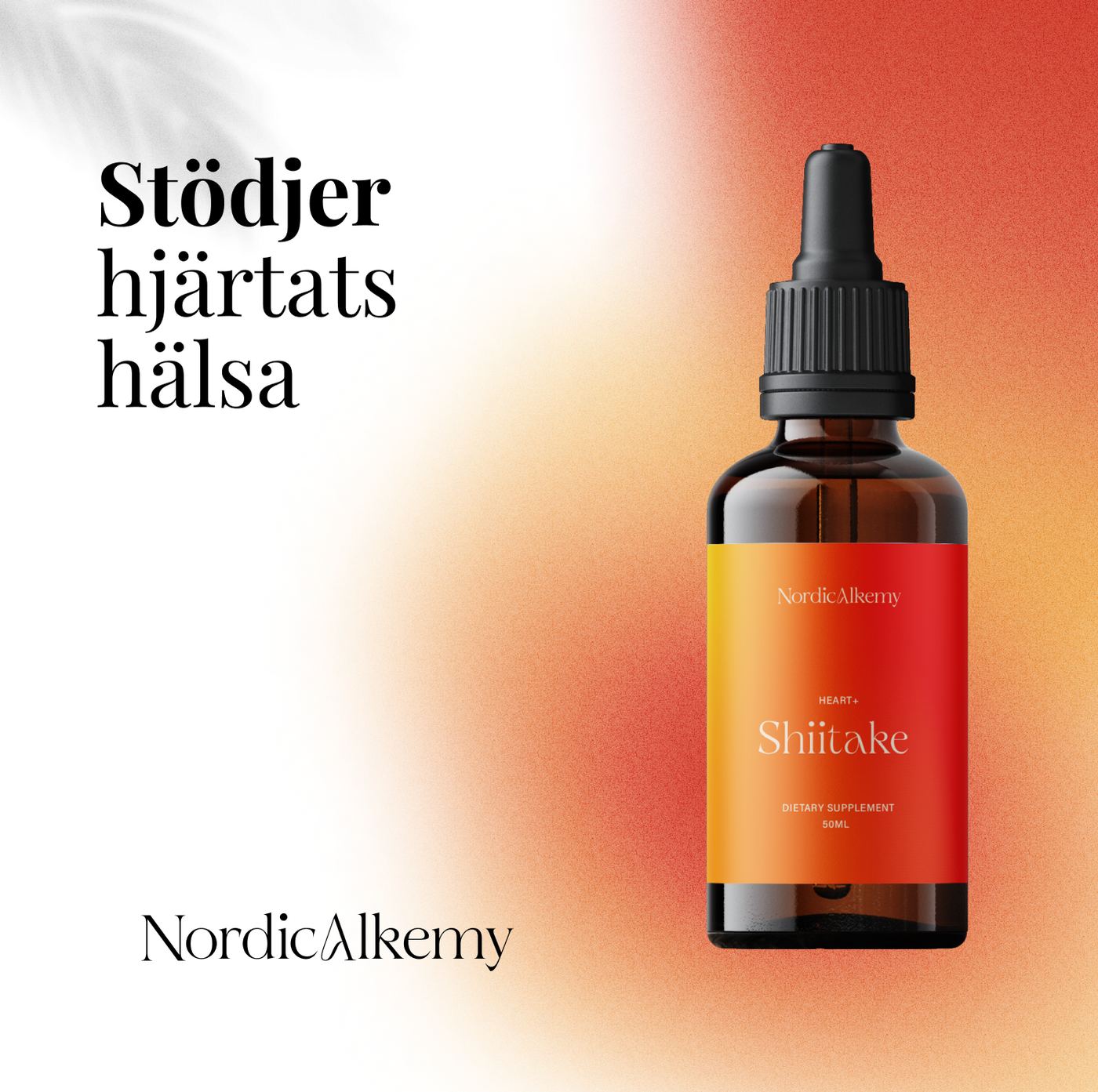 Shiitake Tinktur Fördelar